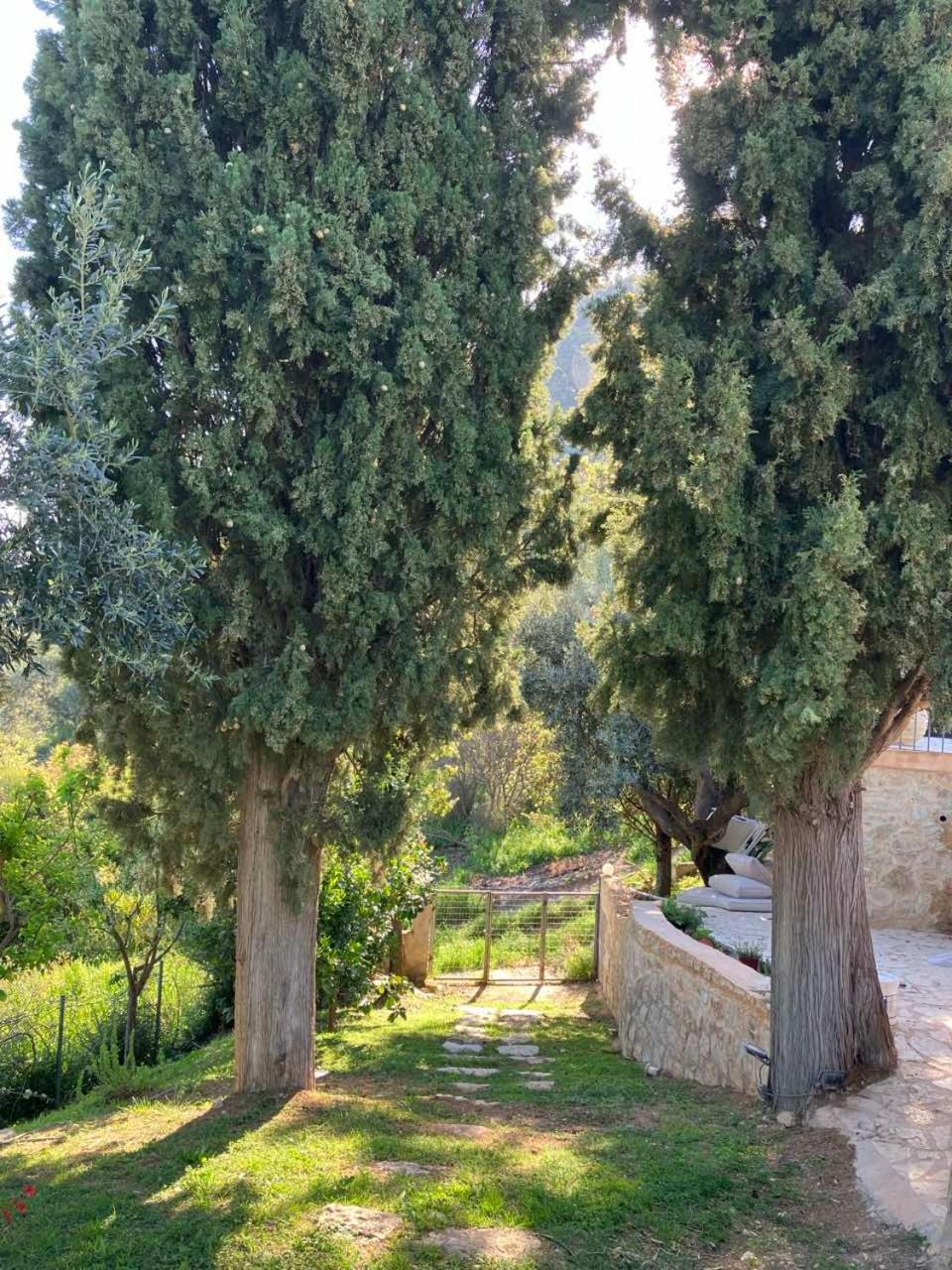 Blue Jasmine Villa *