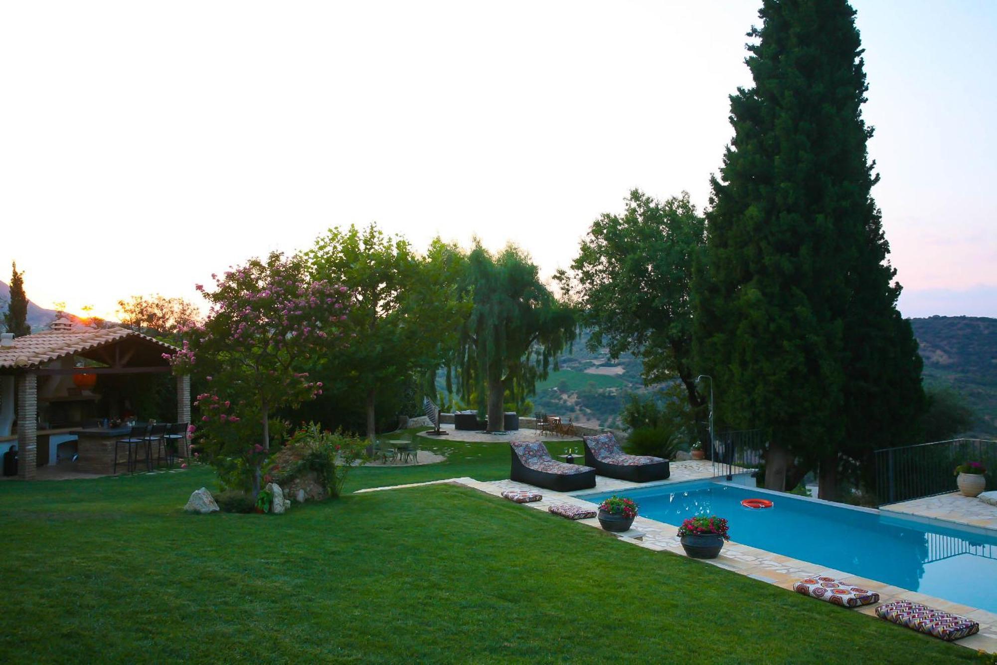 Blue Jasmine Aigio